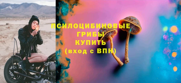 круглые Алзамай