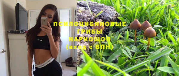 круглые Алзамай